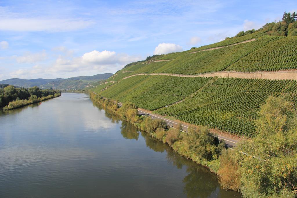 Hotel Zur Post Mulheim an der Mosel Exterior photo